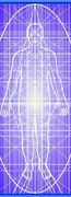 <p>
<strong>LA RECONNEXION&reg; PERSONNELLE</stro...